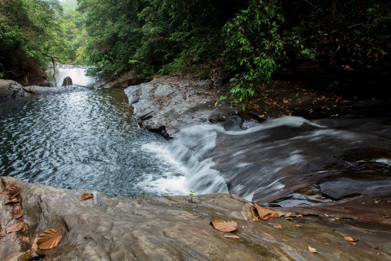 Adventure Base Camp Hotel Kitulgala Exterior photo
